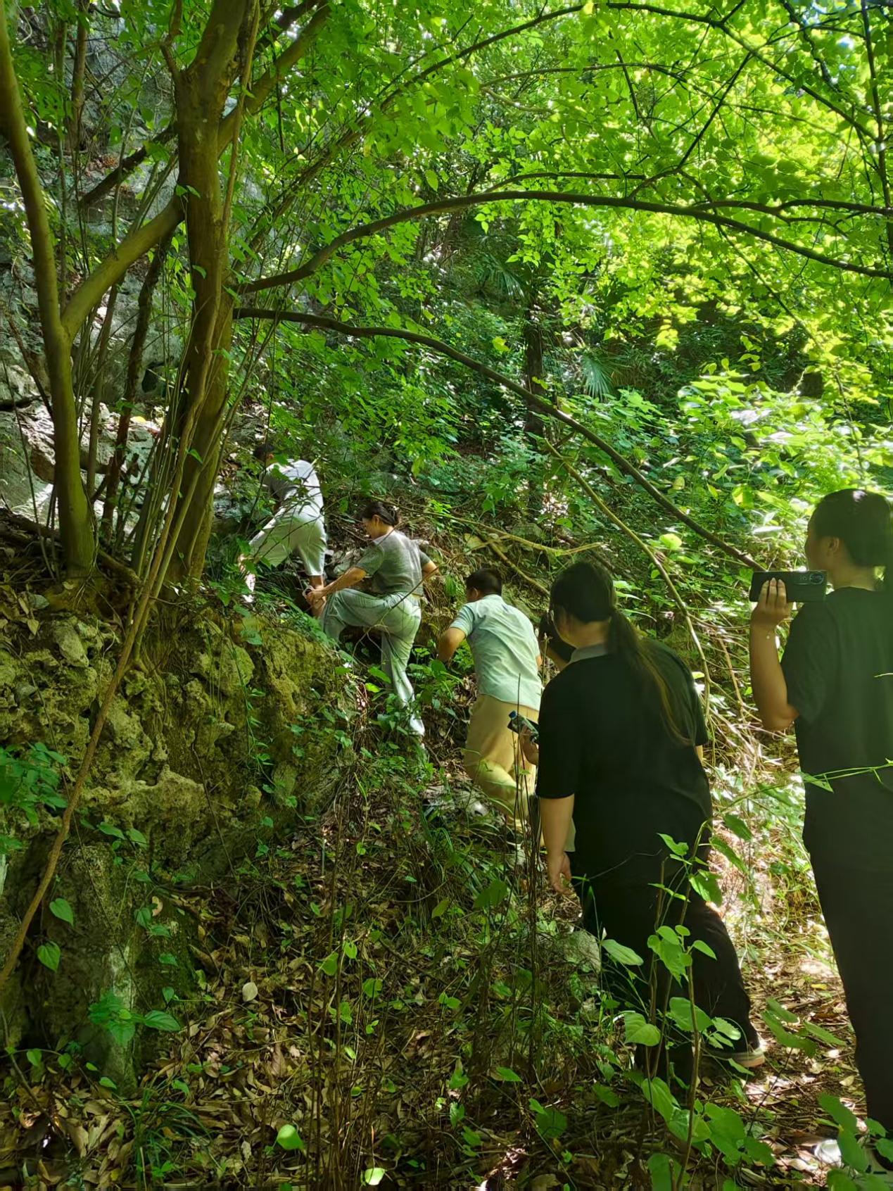 william威廉英国官网