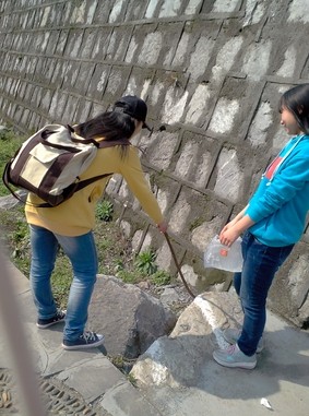 william威廉英国官网