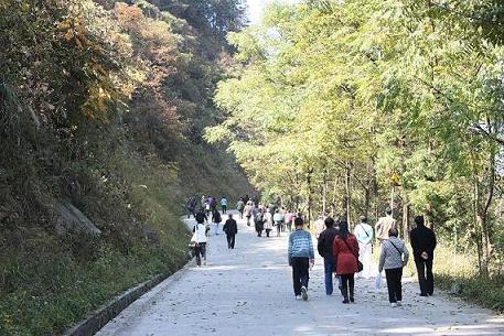 william威廉英国官网