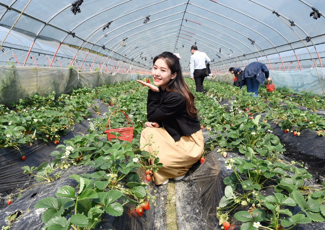 william威廉英国官网