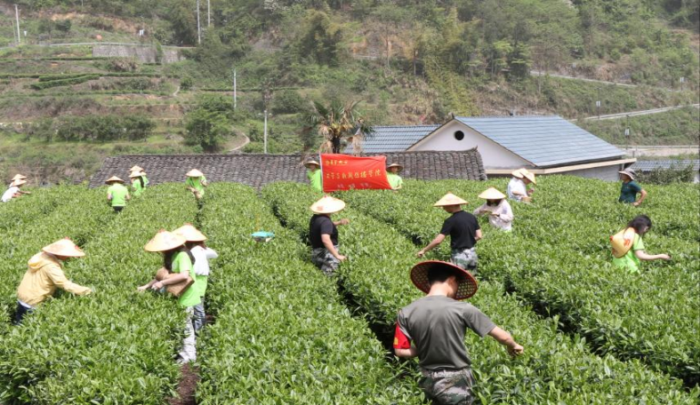 william威廉英国官网