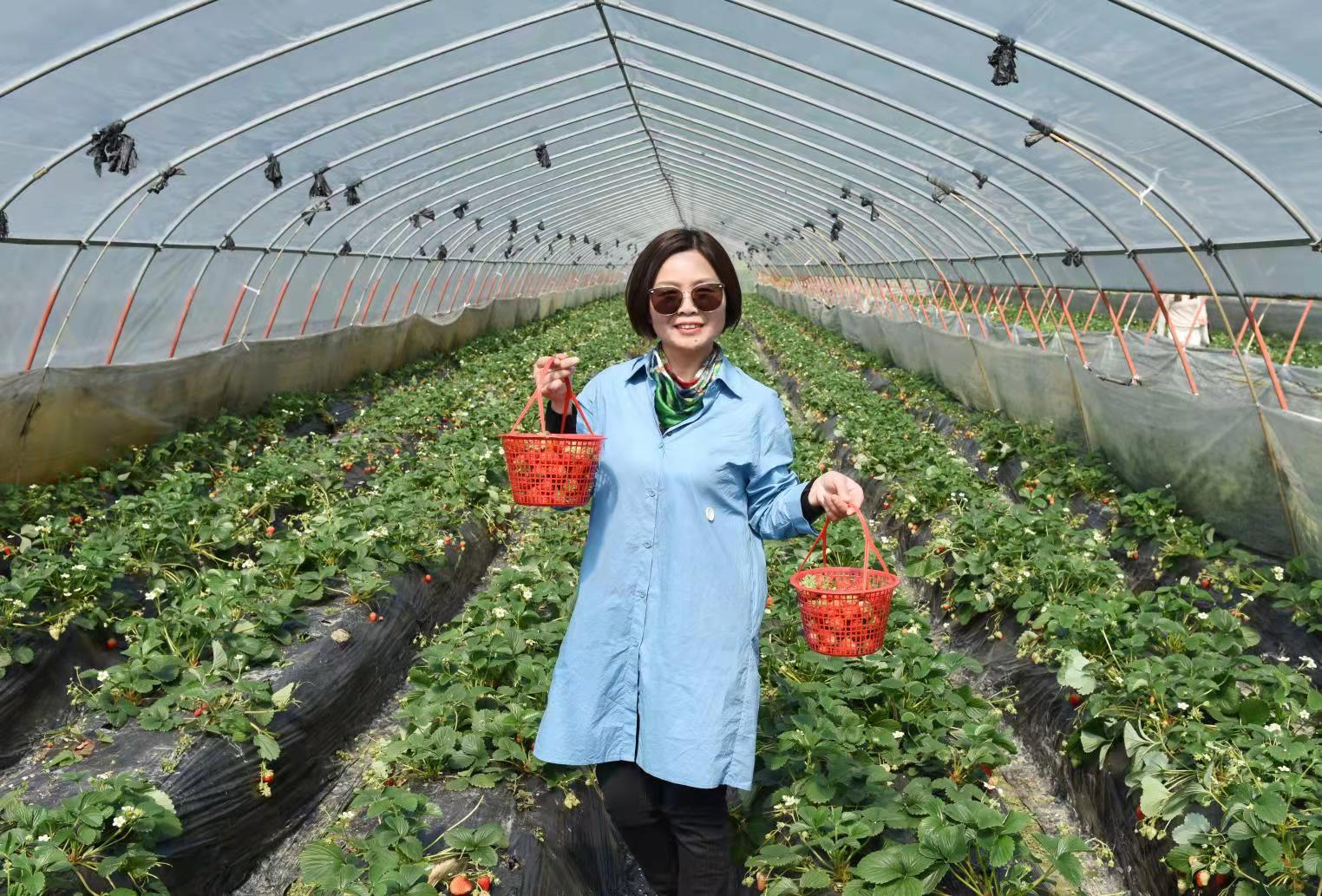 william威廉英国官网