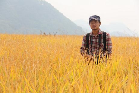 william威廉英国官网