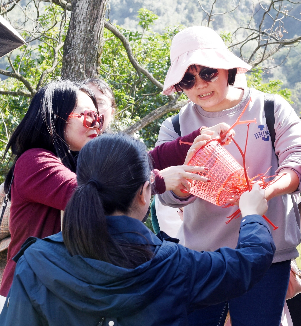 william威廉英国官网