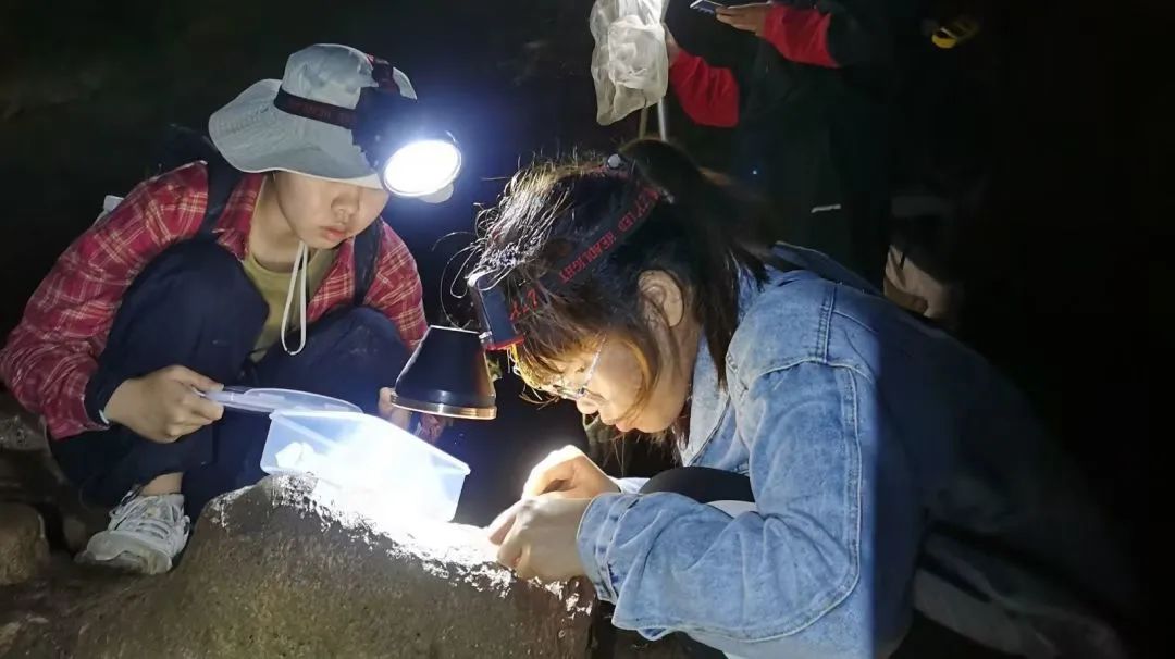 william威廉英国官网